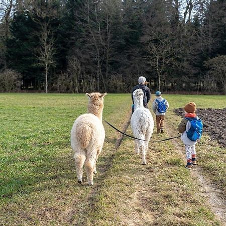 Gruppenunterkunft Mit Billardtisch Und Lamatrekking Meikirch Exterior foto