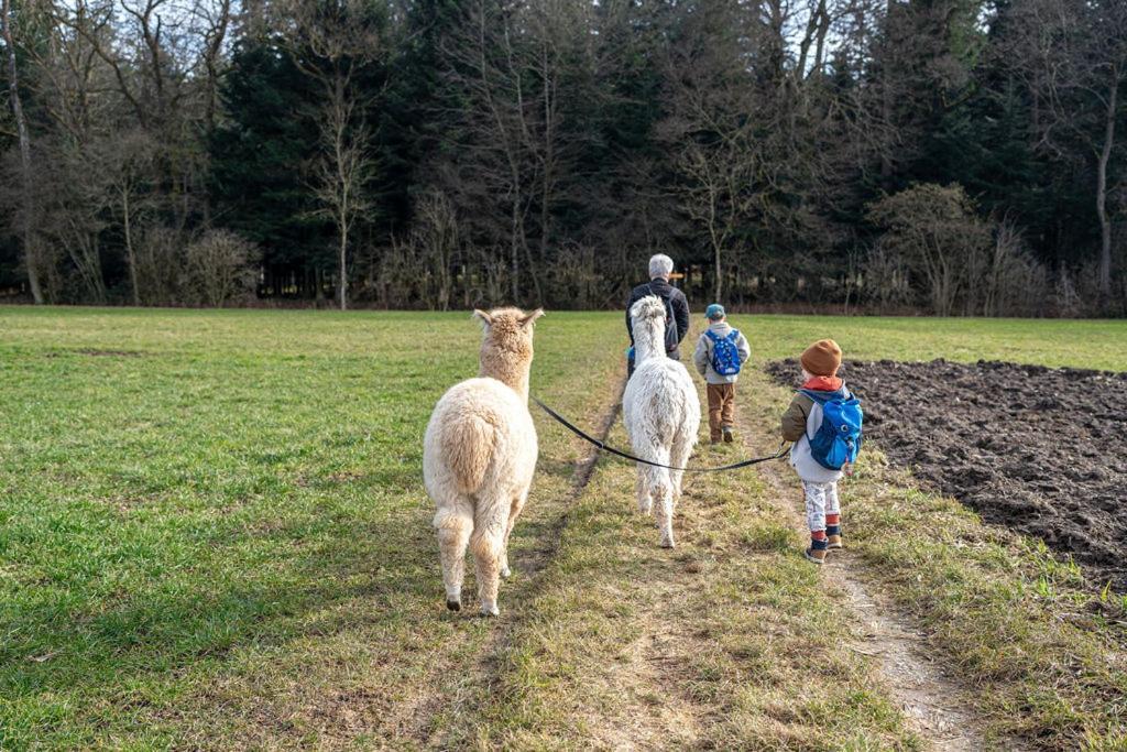 Gruppenunterkunft Mit Billardtisch Und Lamatrekking Meikirch Exterior foto
